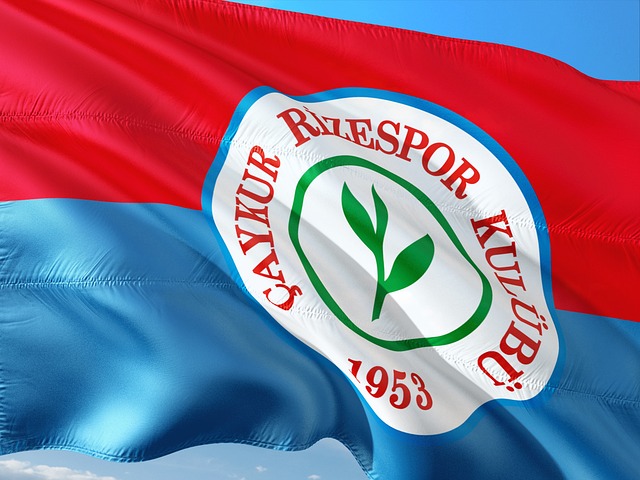 还可能对其 还可能对其