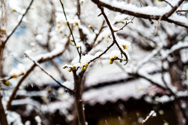 分析