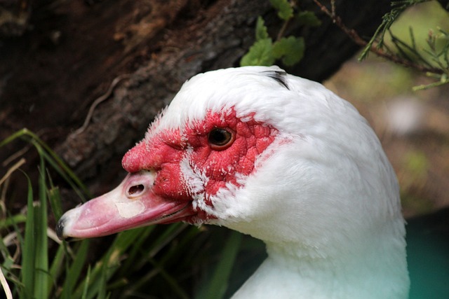 的关键词是 的关键词是