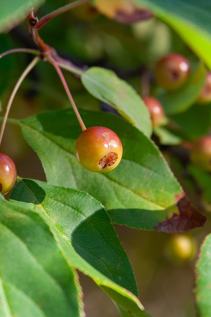 让我们具体 让我们具体