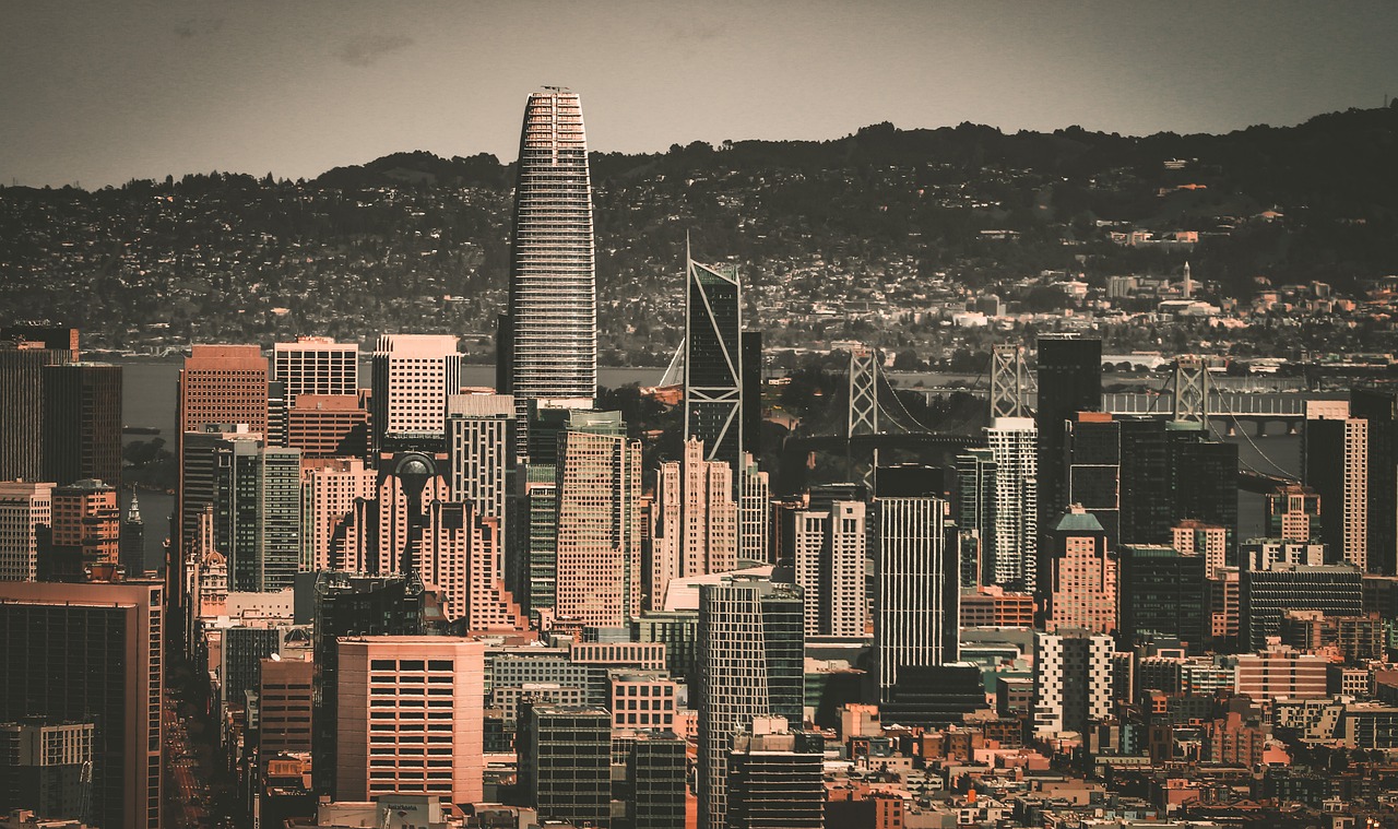 茶叶不错 茶叶不错