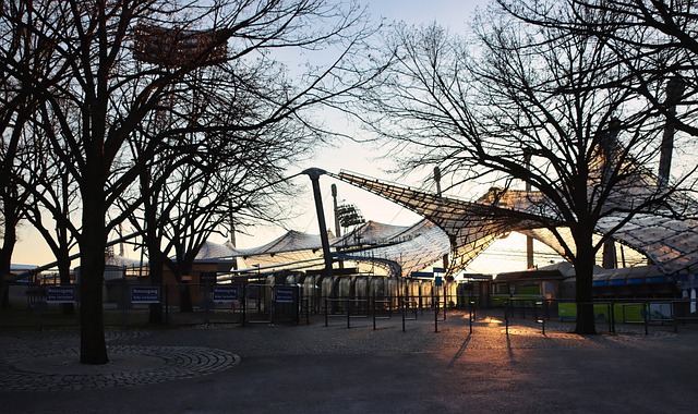 不仅起到了 不仅起到了