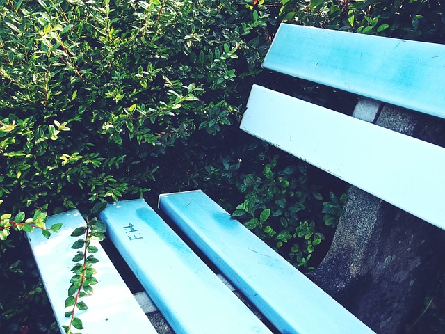 在病榻后球 在病榻后球