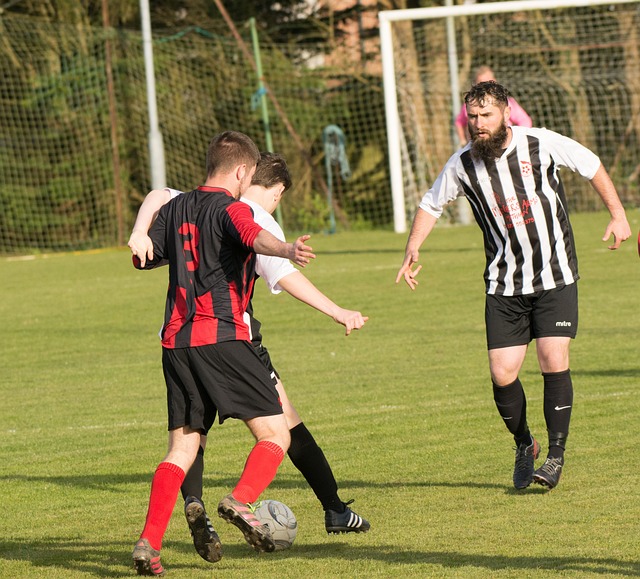 又能让人欣 又能让人欣