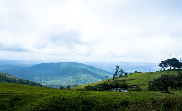 球迷担忧 球迷担忧