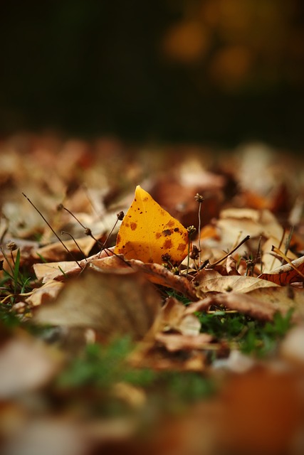 也可能是对 也可能是对