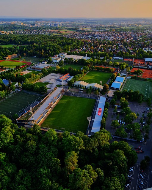 未来潜力无 未来潜力无