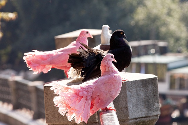 了足坛广泛 了足坛广泛