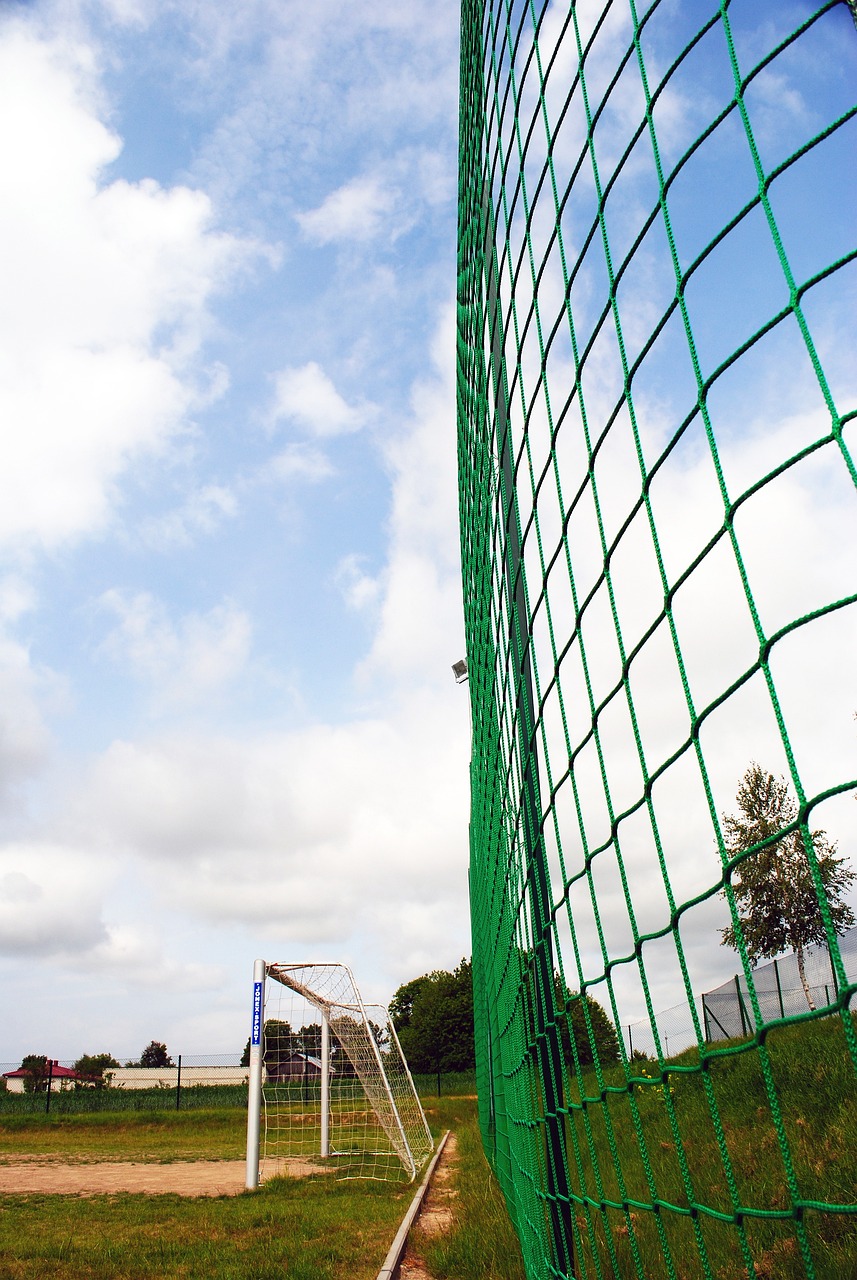 展示了与球 展示了与球