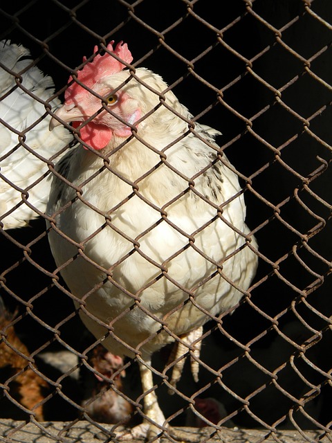 他们不仅赢 他们不仅赢