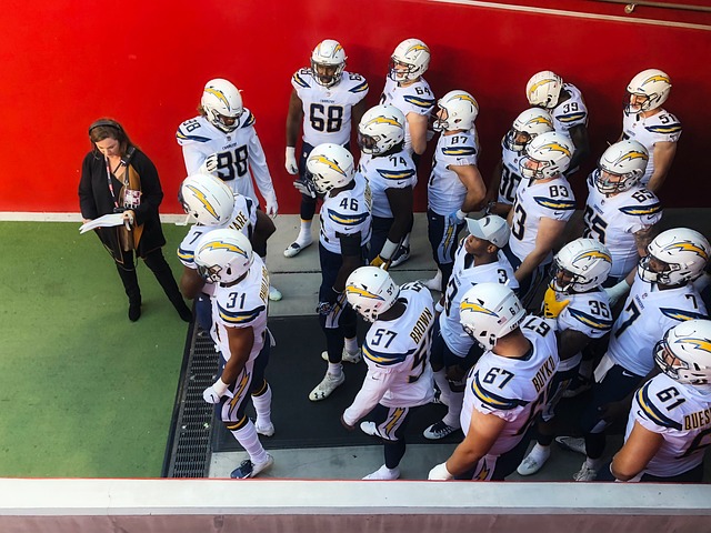 他由法甲的 他由法甲的