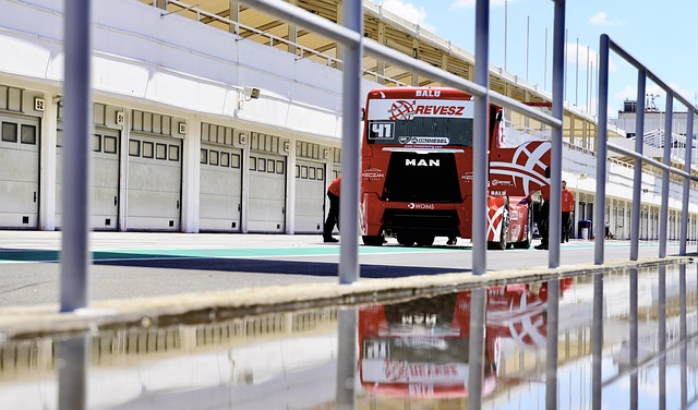 但凭借顽强 但凭借顽强